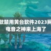 55款禁用黄台软件2023网站 电音之神来上海了