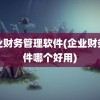 企业财务管理软件(企业财务软件哪个好用)