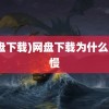 (网盘下载)网盘下载为什么那么慢