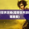 魔兽世界攻略(魔兽世界攻略去哪里看)