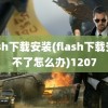 flash下载安装(flash下载安装不了怎么办)1207