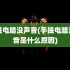 手提电脑没声音(手提电脑没声音是什么原因)