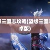 盗版三国志攻略(盗版三国志安卓版)