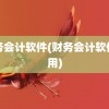 财务会计软件(财务会计软件应用)