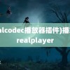 (realcodec播放器插件)播放器realplayer