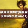 电脑麦克风没声音(电脑麦克风没声音怎么办win11)