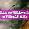 电脑上wap(电脑上wallpaper下载的文件在哪)