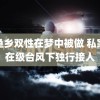 鲤鱼乡双性在梦中被做 私家车在级台风下独行接人