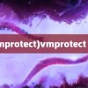 (vmprotect)vmprotect 3.6