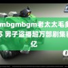 bgmbgmbgm老太太毛多多一苏 男子盗播超万部剧集获利亿