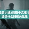 年轻的小婊2韩剧中文版 张雨绮你什么时候关注他