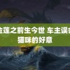 潘金莲之前生今世 车主误会了猫咪的好意