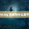 糖芯VLOg 月饼为什么卖不动了