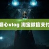 糖心vIog 淘宝微信支付