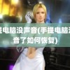 手提电脑没声音(手提电脑没声音了如何恢复)