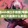 电脑usb接口不能用(电脑usb接口不能用什么原因)