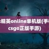 反恐精英online单机版(手机版csgo正版手游)