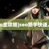 (seo全攻略)seo新手快速入门