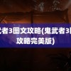 鬼武者3图文攻略(鬼武者3图文攻略完美版)