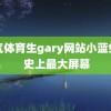 帅气体育生gary网站小蓝免费 史上最大屏幕