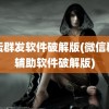 论坛群发软件破解版(微信群发辅助软件破解版)