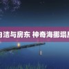 白洁与房东 神奇海挪塌房