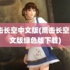 鹰击长空中文版(鹰击长空1中文版绿色版下载)