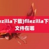 (filezilla下载)filezilla下载的文件在哪