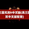 真三国无双6中文版(真三国无双中文版配音)