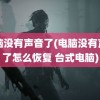 电脑没有声音了(电脑没有声音了怎么恢复 台式电脑)