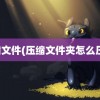 压缩文件(压缩文件夹怎么压缩)