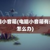 电脑小音箱(电脑小音箱有杂音怎么办)