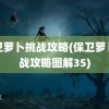 保卫萝卜挑战攻略(保卫萝卜挑战攻略图解35)