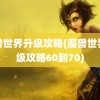 魔兽世界升级攻略(魔兽世界升级攻略60到70)