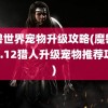 魔兽世界宠物升级攻略(魔兽世界1.12猎人升级宠物推荐攻略)