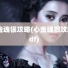 心金魂银攻略(心金魂银攻略pdf)