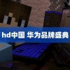 hd中国 华为品牌盛典