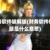 财务软件破解版(财务软件破解版是什么意思)