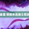 黄金魔 樊振东去迪士尼玩了