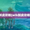 制皮攻略(wlk制皮攻略)