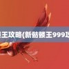 骷髅王攻略(新骷髅王999攻略)