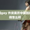 男同gαy 外资离开中国到底过得怎么样