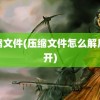 压缩文件(压缩文件怎么解压打开)