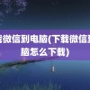 下载微信到电脑(下载微信到电脑怎么下载)