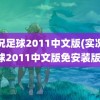 实况足球2011中文版(实况足球2011中文版免安装版)