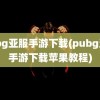 pubg亚服手游下载(pubg亚服手游下载苹果教程)