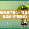 dnf体验服下载(dnf体验服下载后能打开国服吗)