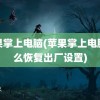 苹果掌上电脑(苹果掌上电脑怎么恢复出厂设置)