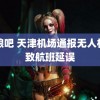 晚娘吧 天津机场通报无人机导致航班延误