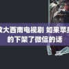 解放大西南电视剧 如果苹果真的下架了微信的话